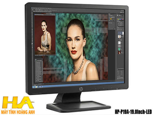 Màn hình HP P19A 19.0Inch LED